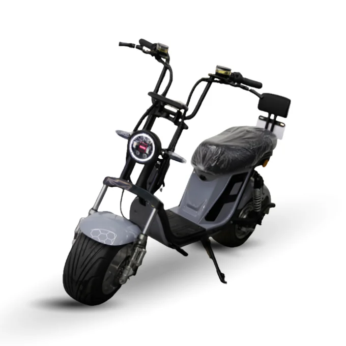 Foto de Scooter X13