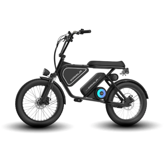 Foto de Bicicleta Elétrica Pamila E3