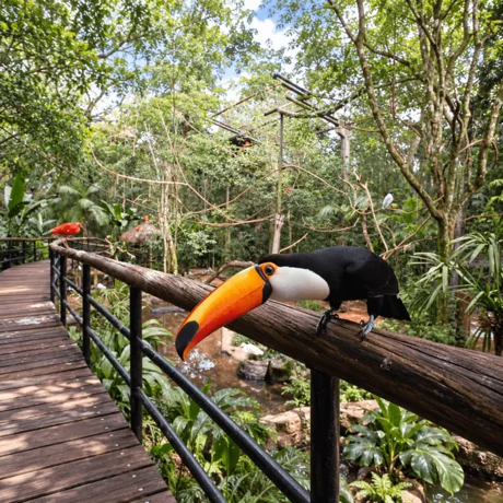 Foto de Parque das Aves