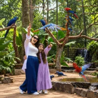 Miniatura de Parque das Aves