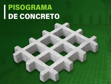 Foto de Pisograma Concregrama 45x35x7cm