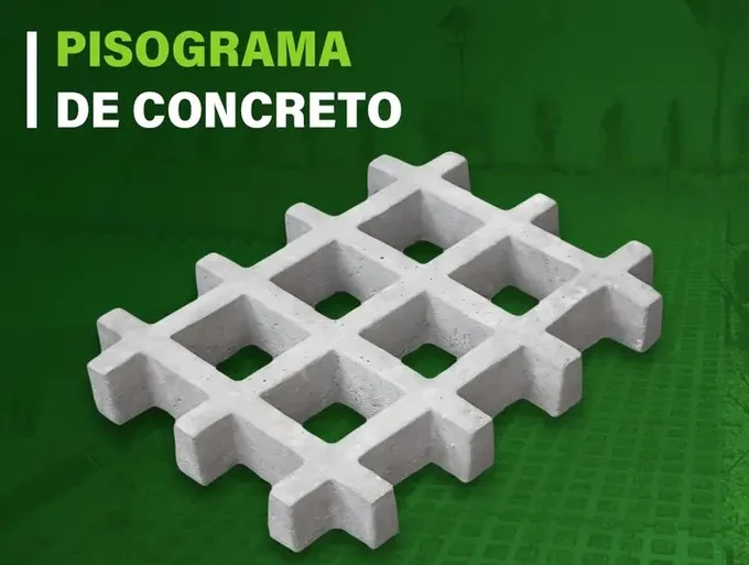 Foto de Pisograma Concregrama 45x35x7cm