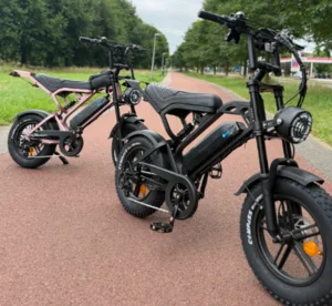 Foto de BIKE ELÉTRICA V20 MINI