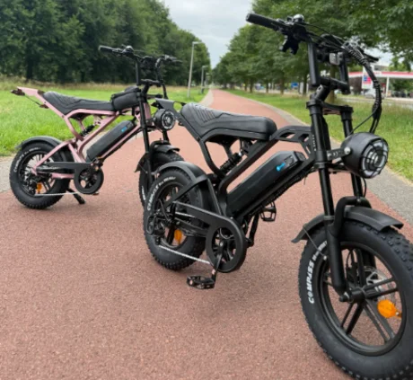 Foto de BIKE ELÉTRICA V20 MINI