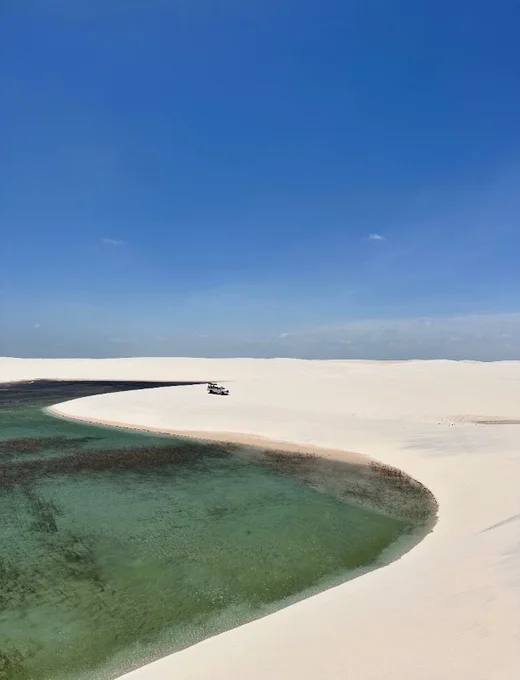 Foto de BETÂNIA DIA TODO