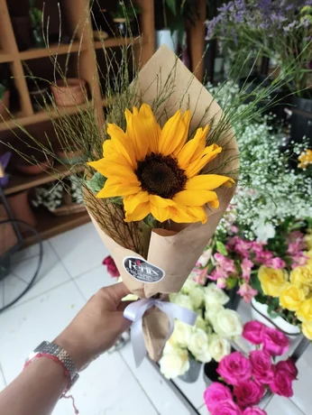 Foto de Cone girassol