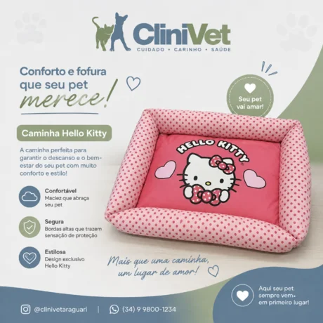 Foto de Caminha Hello Kitty - Porte Pequeno e Medio