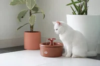 Miniatura de FONTE AQUA CLAY 360°