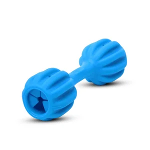 Foto de BRINQUEDO AMICUS FUN TOYS PET PET FIT - Pequeno
