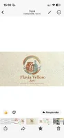 Flavia Velloso art