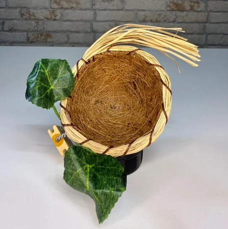 Foto de Ninho Taça Artesanal para Criação de Coleiros
