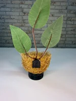 Miniatura de Ninho Taça Artesanal 100% Palha de Coco com Folhas – Coleiro