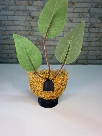 Foto de Ninho Taça Artesanal 100% Palha de Coco com Folhas – Coleiro