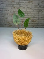 Miniatura de Ninho Taça Artesanal 100% Palha de Coco com Folhas – Coleiro