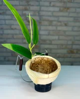 Miniatura de Ninho Super Luxo Silvestre criação coleiro