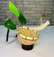 Miniatura de Ninho Coyote Taça para Coleiro