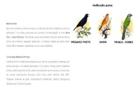 Miniatura de Alcon - Super Top Life - 325