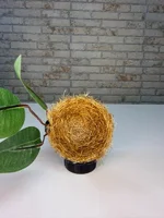 Miniatura de Ninho Taça Artesanal 100% Palha de Coco com Folhas – Coleiro