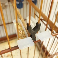 Miniatura de Porta Vitamina Injetfour Pássaros Unha Curió Coleiro