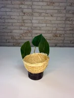 Miniatura de Ninho Baiano Taça em Sisal – Coleiro
