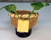 Miniatura de Ninho Taça Artesanal para Criação de Coleiros