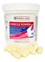 Miniatura de Muscle Power 10 Caps Versele Laga Importado Fracionado