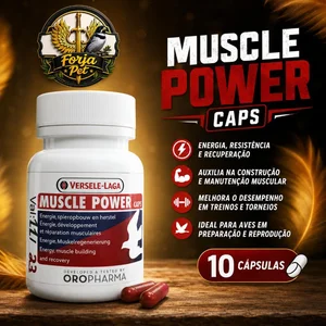 Foto de Muscle Power 10 Caps Versele Laga Importado Fracionado