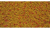 Miniatura de Nutrópica Extrusado Power Torneio Para Trinca Ferro 600g