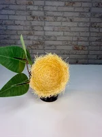 Miniatura de Ninho Taça Artesanal 100% Sisal com Folhas – Coleiro