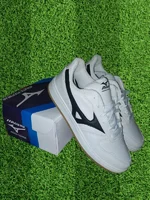 Miniatura de Mizuno